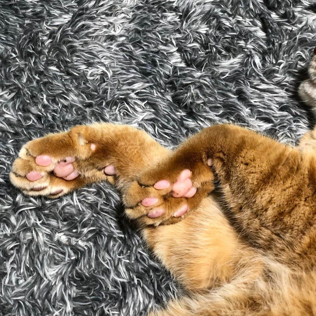 mayumiのインスタグラム
