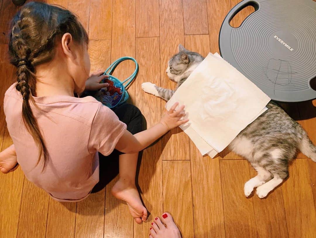 のインスタグラム：「「サバちゃん、かけられるのきらいかな…？」といいながら、ペーパータオルをかけてあげていた。 #サバ美となまこちゃん #姉妹 #今日のなまこちゃん #サバ美」