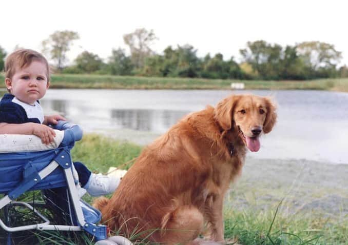 モヒートさんのインスタグラム写真 - (モヒートInstagram)「Happy #rainbowbridgeremembranceday to mom’s first Goldens-Brandy and Tequila. We still miss them every day. Hug your fur babies a little tighter today 💜🌈  ------------------------------- #chewy #goldensofig #goldenretriever  #goldenretrieversofinstagram #betterwithpets #dogsofig  #dogsofinstagram #fluffypack #gloriousgoldens #welovegoldens #ilovemydog #goldenlife #bestwoof #ProPlanDog #ilovegolden_retrievers #mydogiscutest #retrieversgram #dogsofcle #petsbringustogether」8月29日 9時48分 - mojito_rose_family