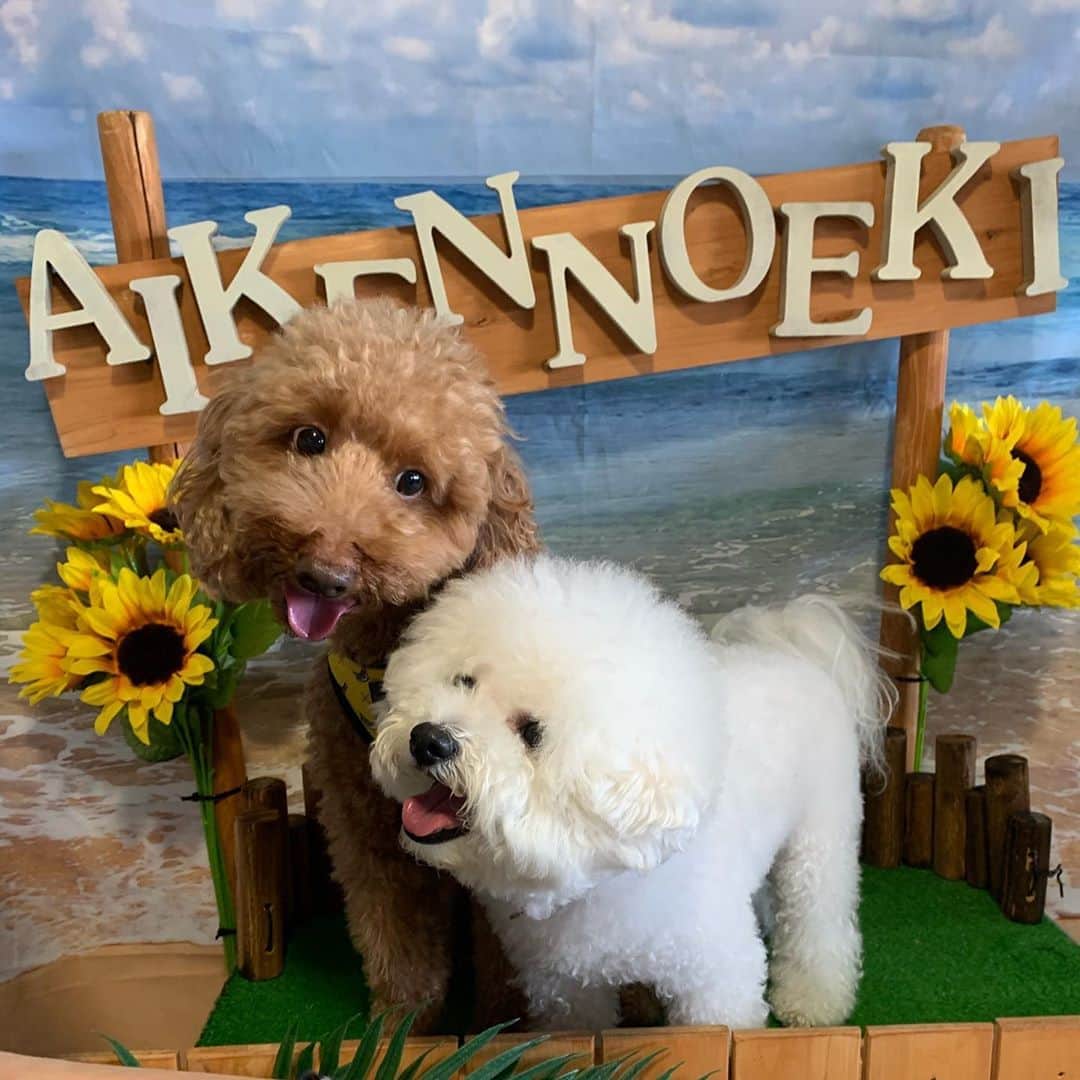 HISANAのグルメインスタ