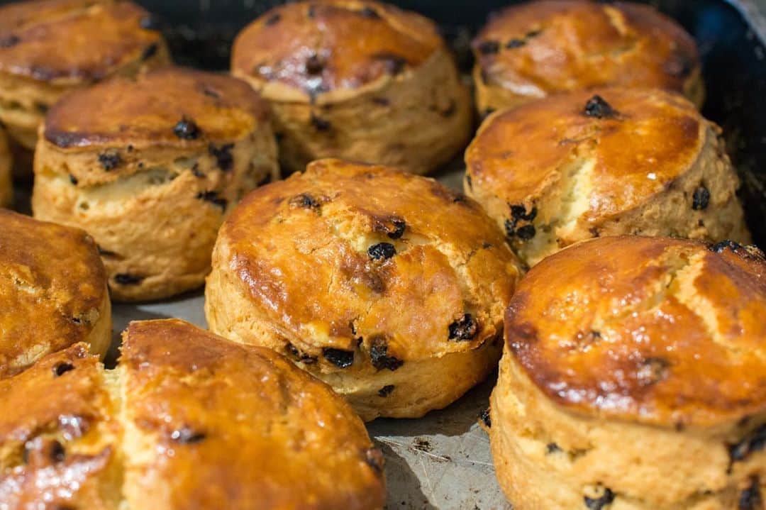 笹塚駅のパン屋さん オパンのグルメインスタ