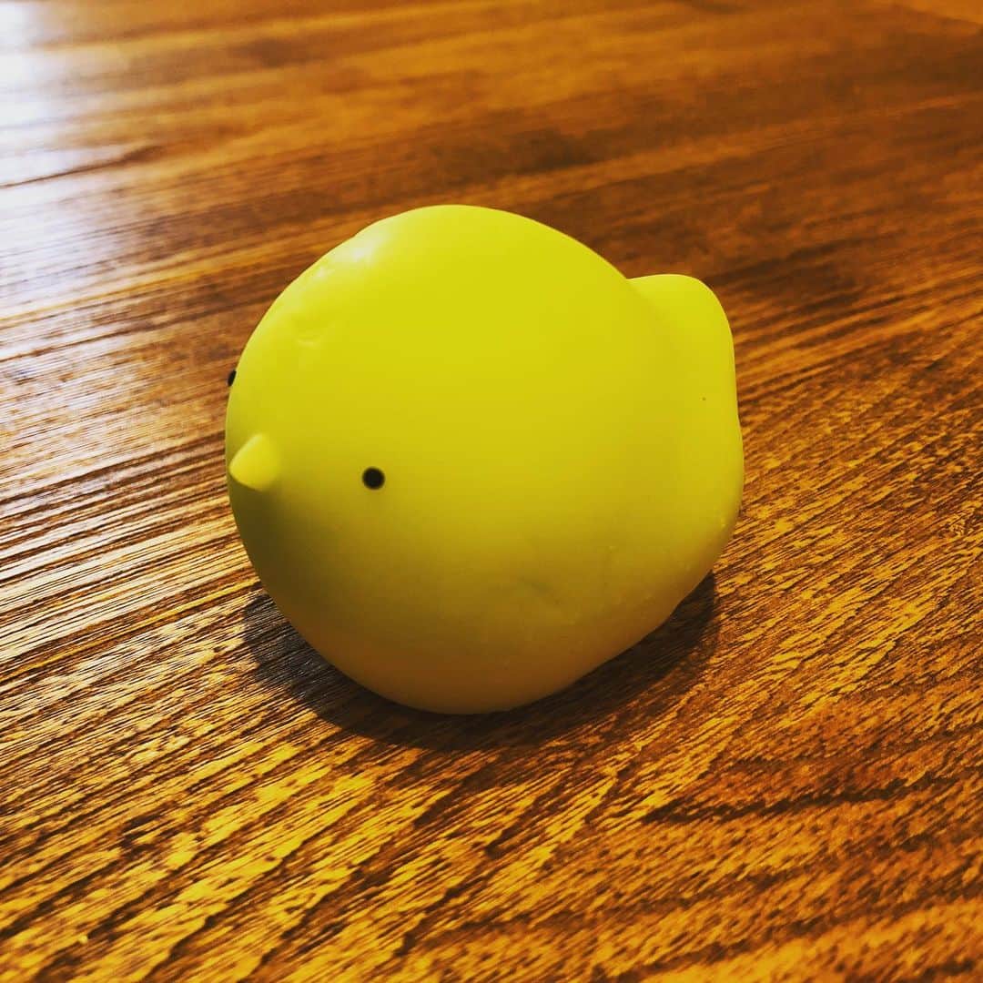 のインスタグラム：「鳥。」