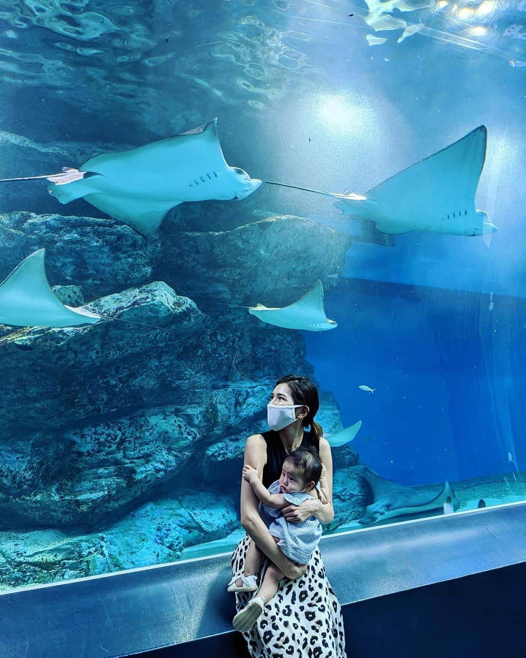 来夏さんのインスタグラム写真 - (来夏Instagram)「#🐠 目で追う姿が可愛いくて ママは娘ばかり見てしまっていた😂☺️🥰 大きいのにはびっくりな様子、しがみついていたね🤣 #水族館 #女の子ママ #生後8ヶ月」8月29日 11時39分 - rairairaika