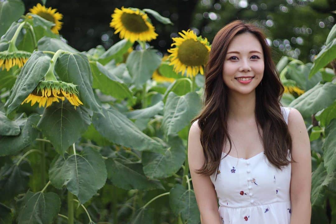 西村季里子のインスタグラム：「・  🌻  #ひまわり #ひまわり畑  #🌻 #夏が終わる前に行けてよかった #でもしおれてる #しゅんです」