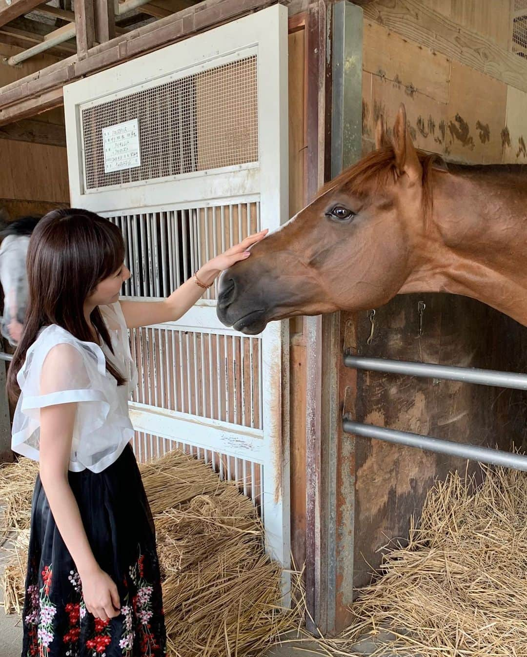 松本あゆ美のインスタグラム