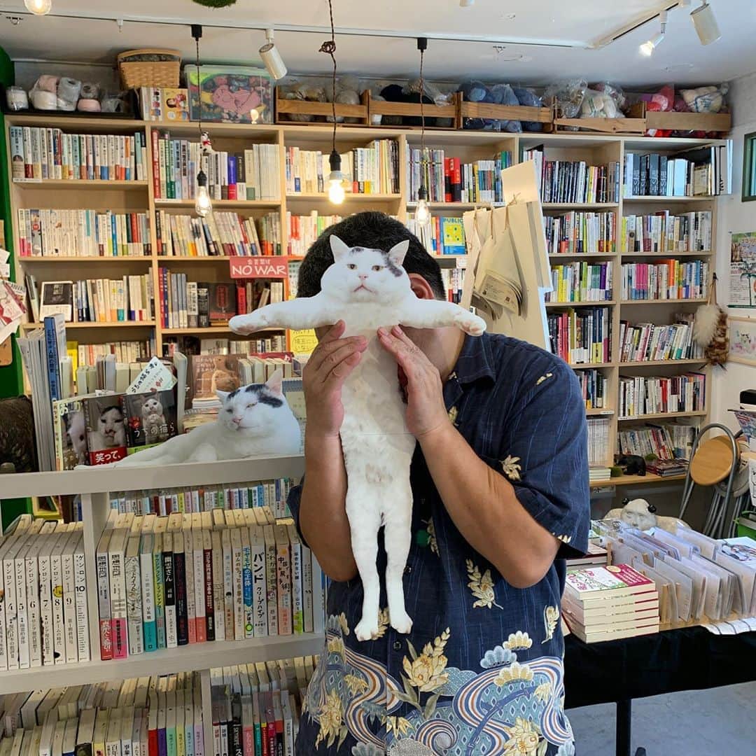 Kachimo Yoshimatsuのグルメインスタ