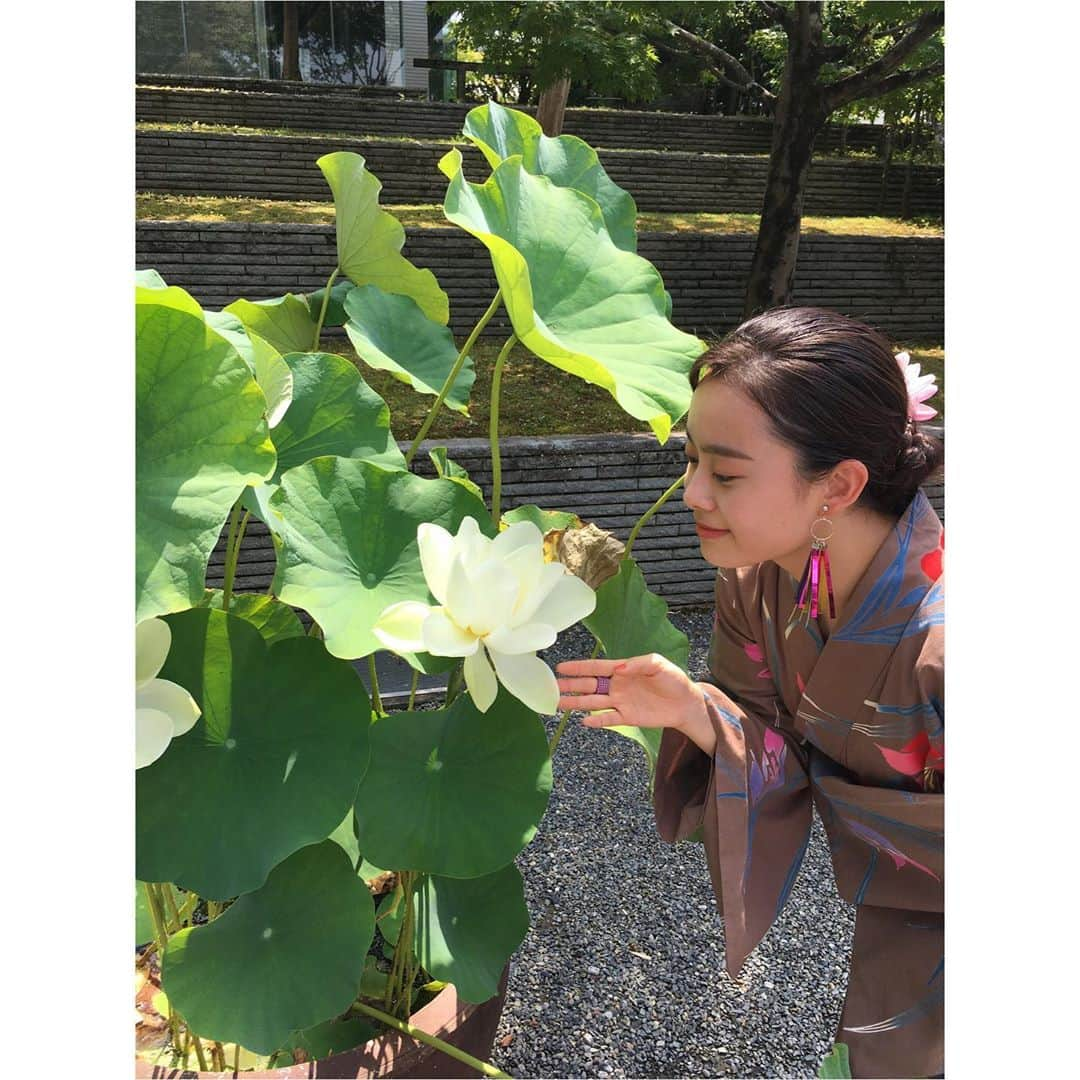 白鳥羽純さんのインスタグラム写真 - (白鳥羽純Instagram)「🥉 平等院鳳凰堂へ〜  池が沸騰しとる〜🥺  目に涼しい蓮のお花とパシャりっ  #平等院鳳凰堂 #世界遺産 #蓮の花 #10円玉 #京都 #Byodointemple #worldheritage #Kyoto #Kyotojapan #rediscoverjapan」8月29日 18時41分 - hasuminst