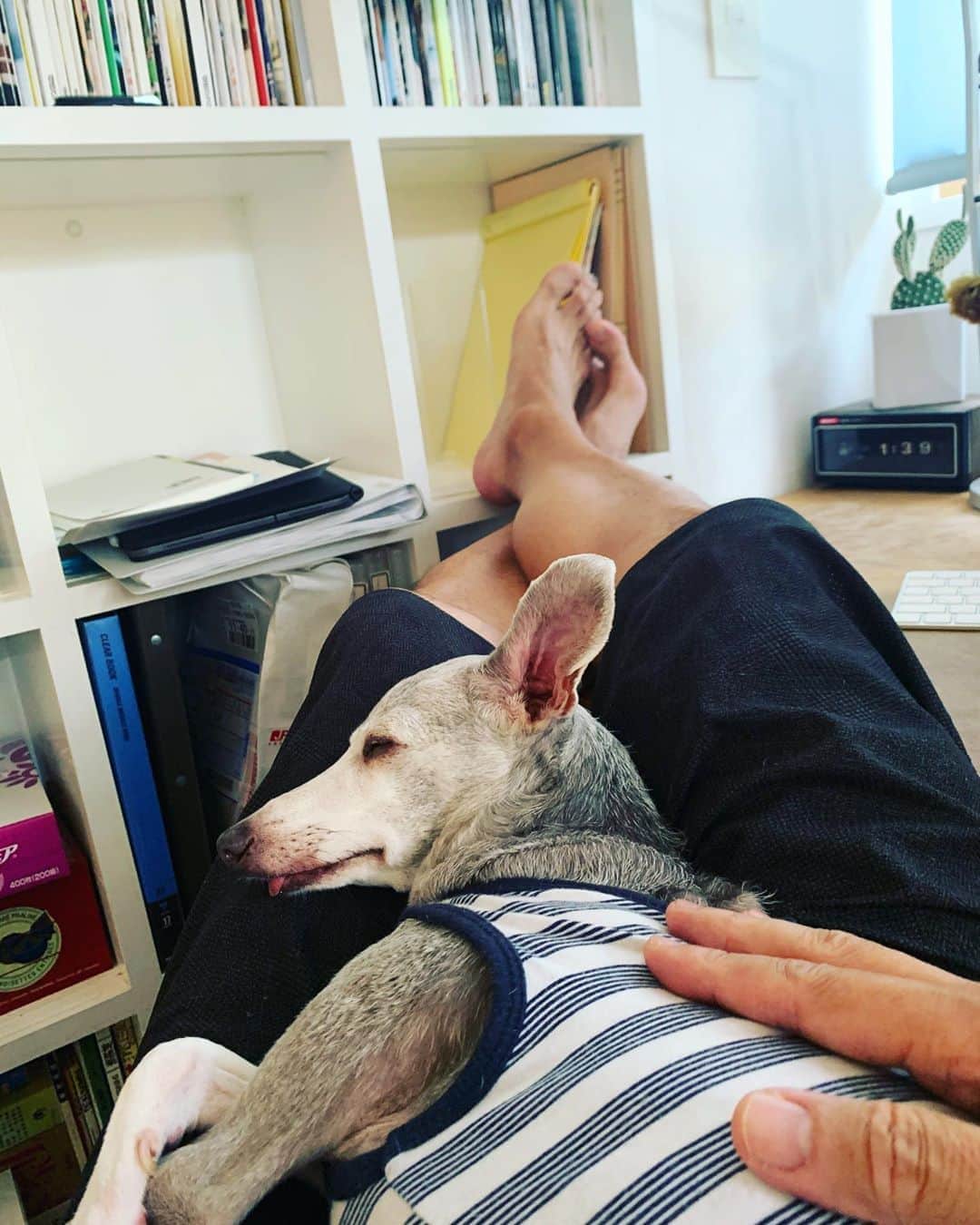 のインスタグラム：「今日も何もしない。」