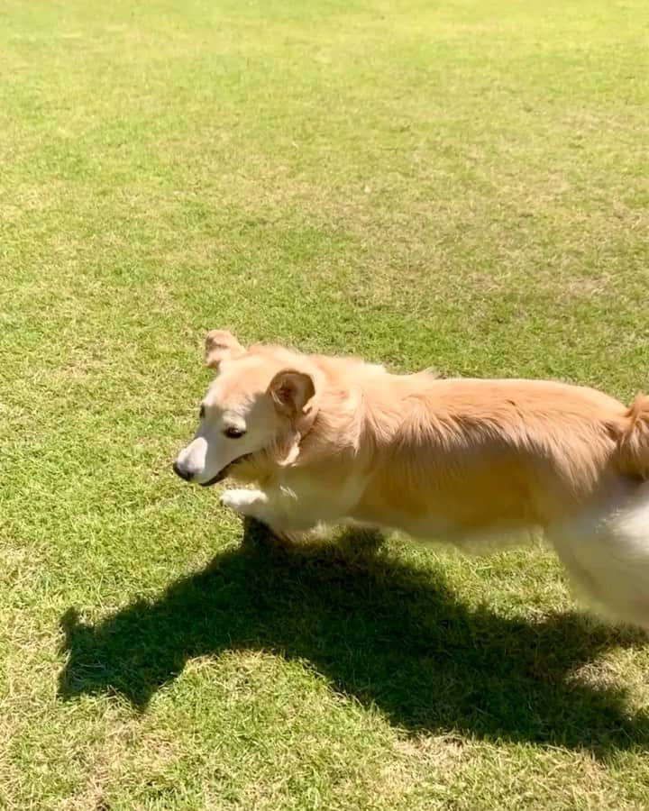 まゆみのインスタグラム