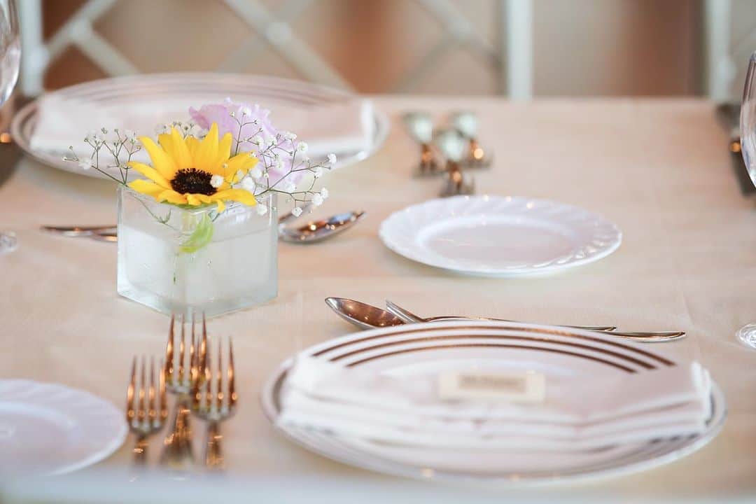 指帆亭のグルメインスタ