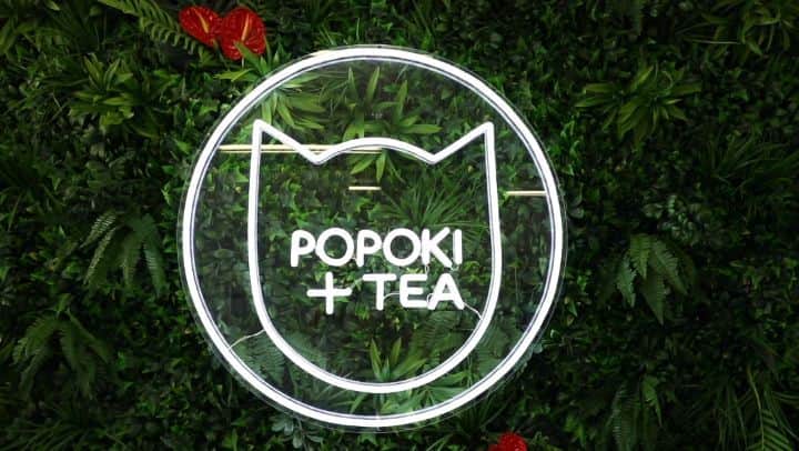 マヤ アリーナのインスタグラム：「「サポート・ローカル・ハワイ」第7エピソードはPopoki+Tea!猫カフェ行ったことある？Popoki+Teaの猫はレスキューされたネコで、アダプトすることもできるんだよ！やっぱり動物と時間を過ごすのはいいよね。エピソードはYouTubeで見てね➡️リンクはプロフィールに入ってるよ😬 マハロ〜  Episode 7 of Support Local Hawai’i features Popoki+Tea! This wonderful gem in the heart of Kaimuki is a cafe with a cause. The owner, Liberty, has built a small, adorable sanctuary both for humans and cats! She works closely with @katcharities to help find homes for the cats. Whether you go to get some pet therapy or are searching for a new family member, I promise you will fall in love with the residents! Thank you @popokiandtea for all that you do ♥️ You can find ways to support them through their website listed below!   Special thanks to: @popokiandtea  www.popokiandtea.com  *ビデオのサブタイトルで1つ間違っているところがあります。「惜しい猫がいたら」➡️「欲しい猫がいたら」 📷: @norihasunuma3953 @linomodel_agency」