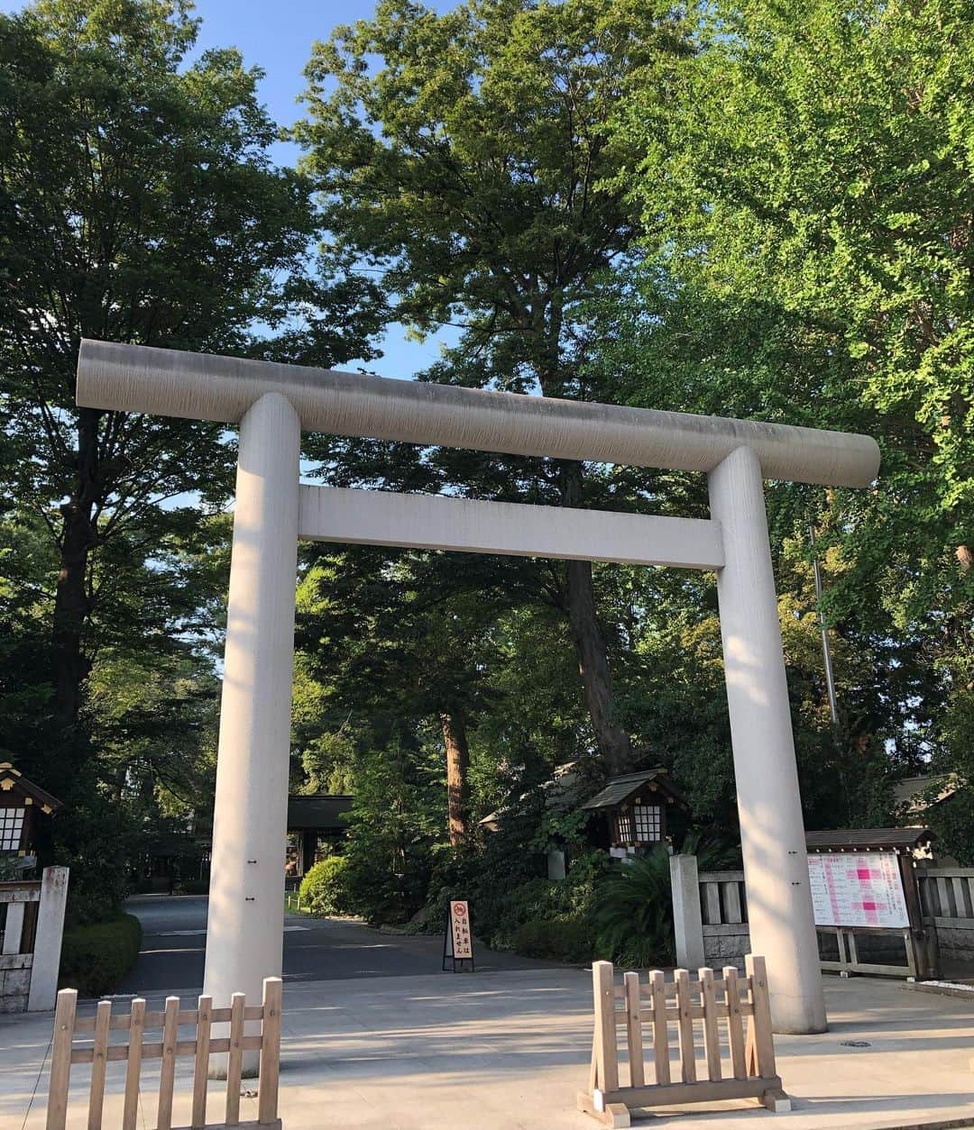 進藤やす子さんのインスタグラム写真 - (進藤やす子Instagram)「✳︎ 阿佐ヶ谷神明宮⛩と中杉通り🛣 . 高円寺に9年、阿佐ヶ谷に引っ越して早5年目に突入、どちらの街も好きだけど今の場所は近くに緑がいっぱいあるのが気に入ってます🌿🌿🌿 . . #阿佐ヶ谷 #阿佐ヶ谷神明宮 #中杉通り」8月29日 15時28分 - yasukoshindo