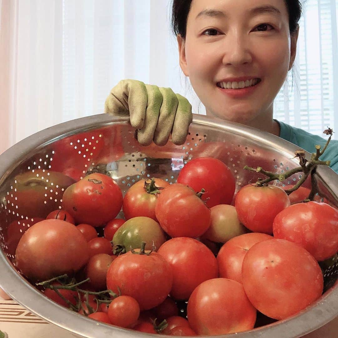 パク・チニさんのインスタグラム写真 - (パク・チニInstagram)「#오늘의수확」8月29日 16時12分 - eco_jini