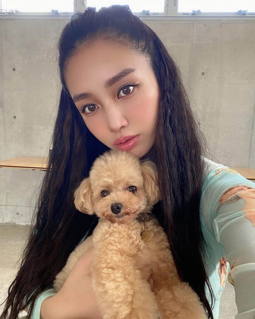 megbabyのインスタグラム：「ぱぶちゃん今日もかわいいからインスタ更新します🥺🤍🤍🤍　@queen_of_pablo」