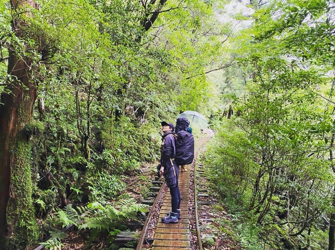 木村文乃さんのインスタグラム写真 - (木村文乃Instagram)「*** 念願だった場所でのトレッキング。 今年は富士山に登るって準備してたけど 準備期間が十分持てそうで良かった。笑」8月29日 16時30分 - uminokimura_official