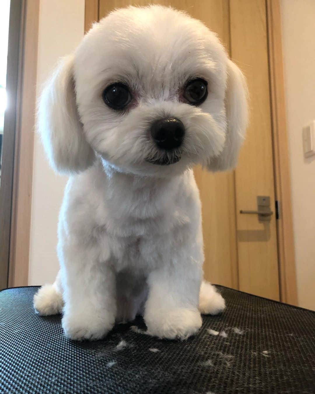 小野真弓のインスタグラム