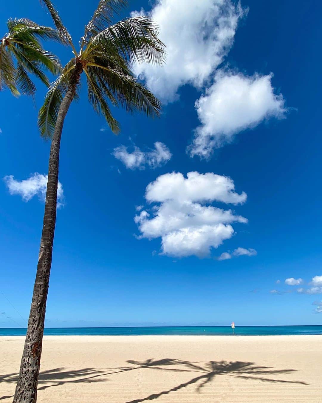 COCOのインスタグラム：「Enjoy your weekend ❤️ #aloha 🤙🏽」