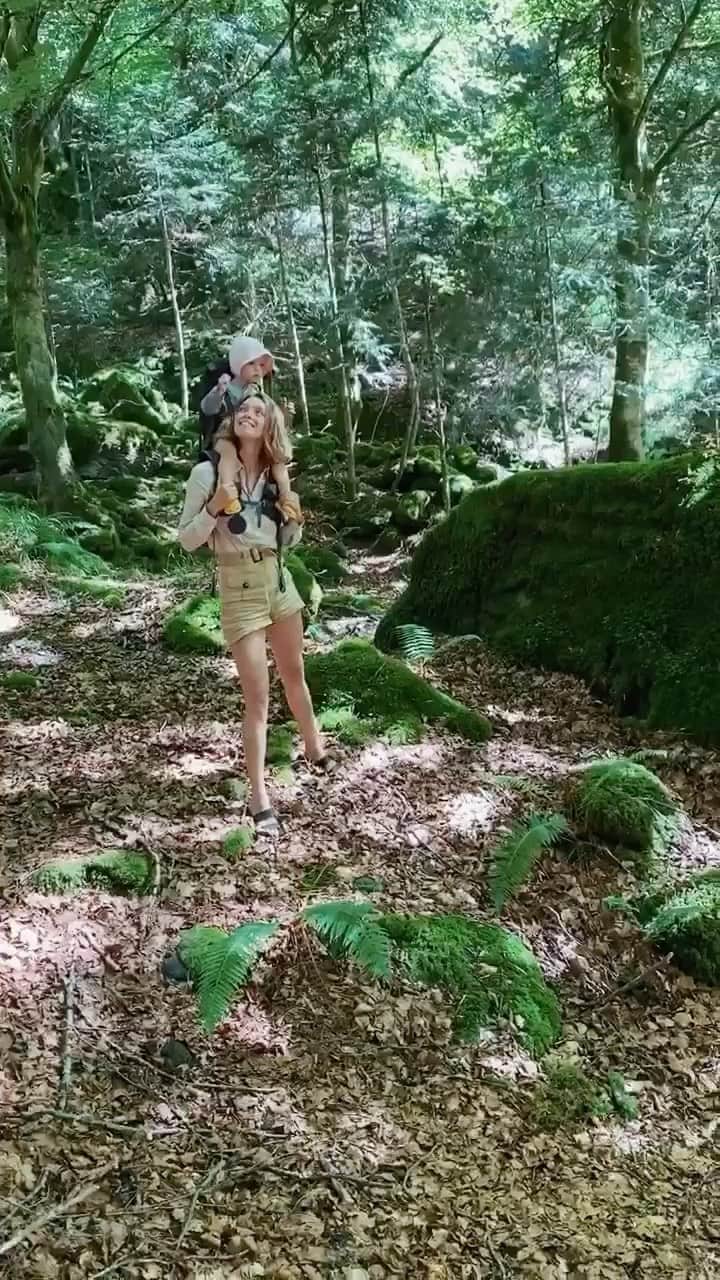 アリゾナ・ミューズのインスタグラム：「ACT NOW TO SAVE THE CHOCÓ!  The most important place in the world that you've never heard of…more species of birds than North America and Europe combined, as many reptiles and amphibians per acre as the Amazon, and 98% of it has been lost: this is the Chocó, the coastal rainforest of Ecuador.  The Chocó is home to dozens of endangered species that live nowhere else on the planet. And now we have a once-in-a-generation opportunity to preserve what remains -- forever.  @fundacion.jocotoco have started a campaign to help save this important rainforest. Link in bio to donate 👈 EVERY LITTLE BIT HELPS!  $200 would save half an acre of unique, old growth rainforest.  $1000 would save a few individuals of six critically endangered plant species.  $10,000 would save the home range of a group of critically endangered brown-headed spider monkeys.  #savethechoco #rainforestforsale」