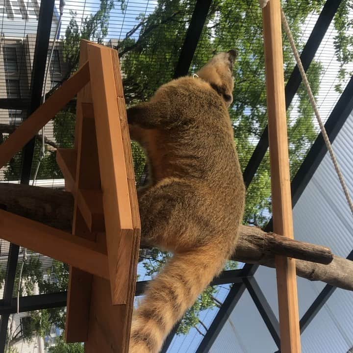【公式】東京コミュニケーションアート専門学校ECOのインスタグラム