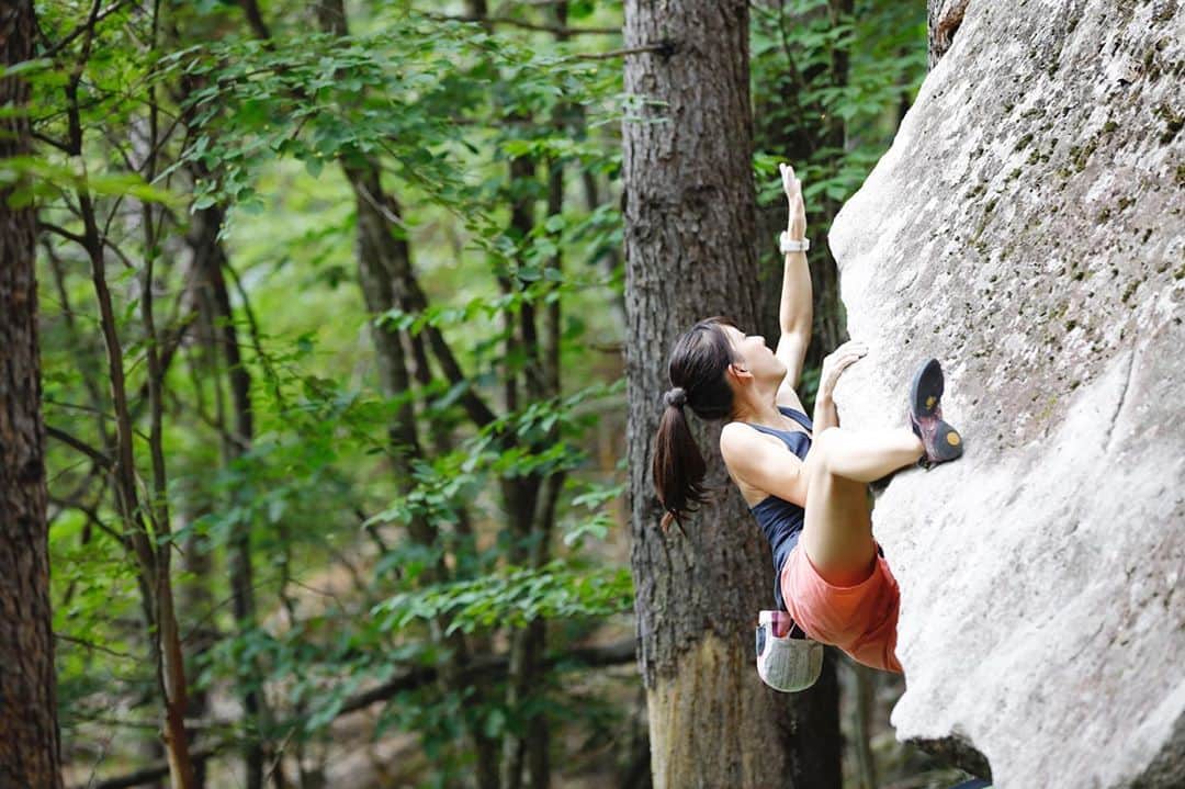 大田理裟のインスタグラム：「岩行きたいな〜🤩💕 ﻿ photo: @shintaozawa  #rockclimbing #climbing #lead #bouldering #クライミング  #mountain #sportclimbing #rock #champion #championjp」