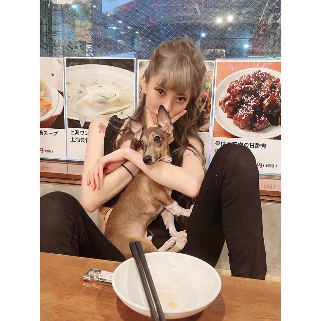 中川ジュリアのインスタグラム：「🐕」