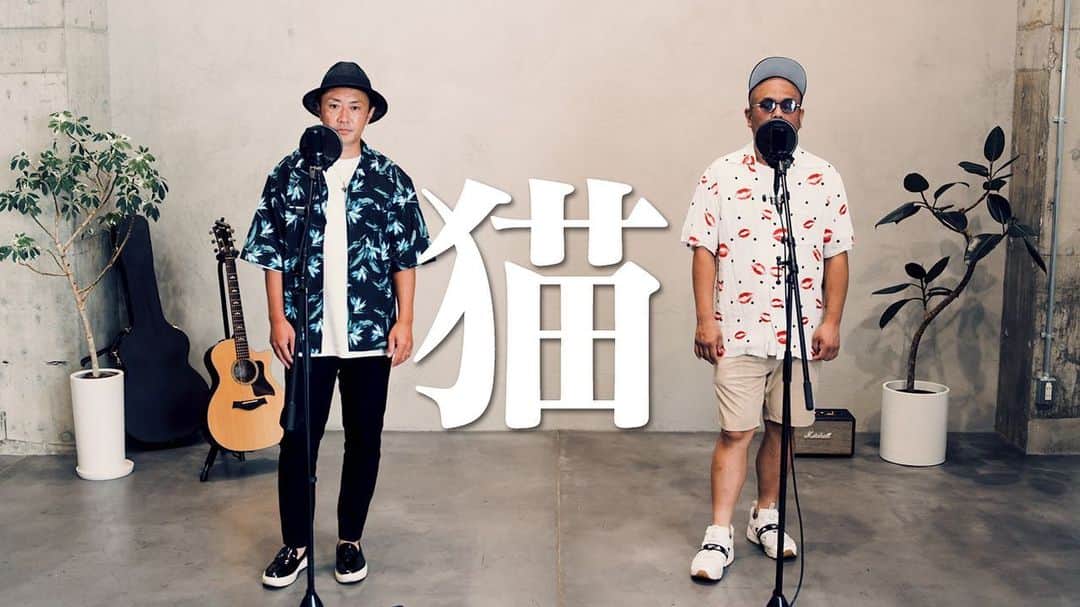 ジョー のインスタグラム：「YouTube「ダブルネームチャンネル」upしました。  【猫／DISH//】歌ってみた(covered byダブルネーム） #DISH// #猫 #あいみょん #アカペラ  プロフィールからYouTubeに飛べます是非」