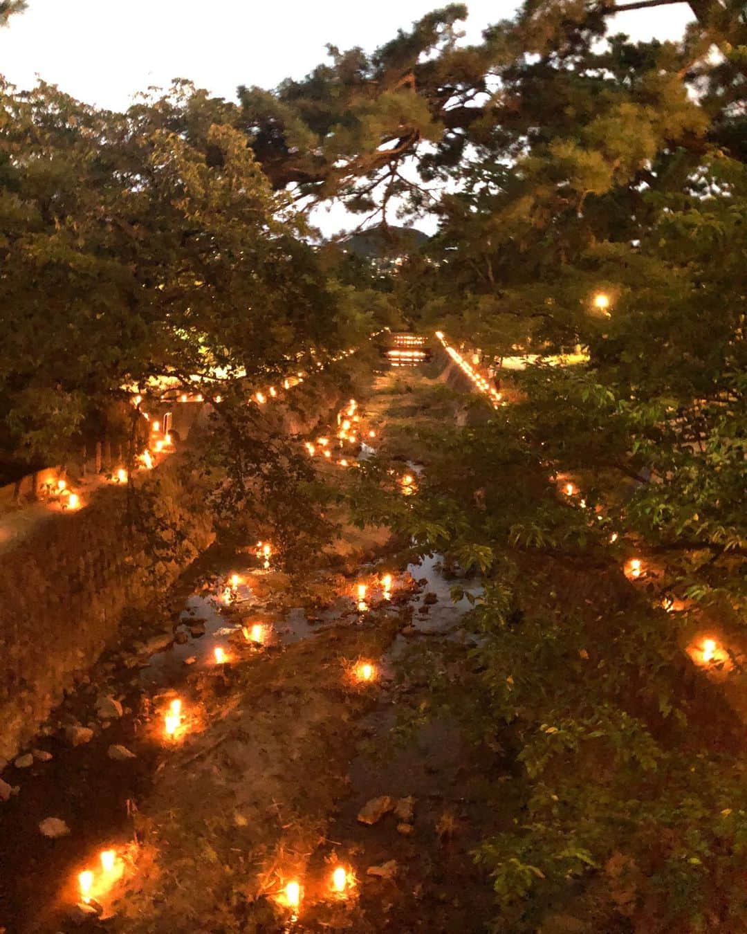 月央和沙さんのインスタグラム写真 - (月央和沙Instagram)「ほっこり 灯のともる夙川を てくてくお散歩🕯✨ . 時間によって、 全然色が変わります👆🏻 . とっても癒されました😊🍀 .  #夙川千本灯火 #幻想的 #ペットボトルに🕯 #お散歩」8月29日 19時56分 - kazusa_tsukio