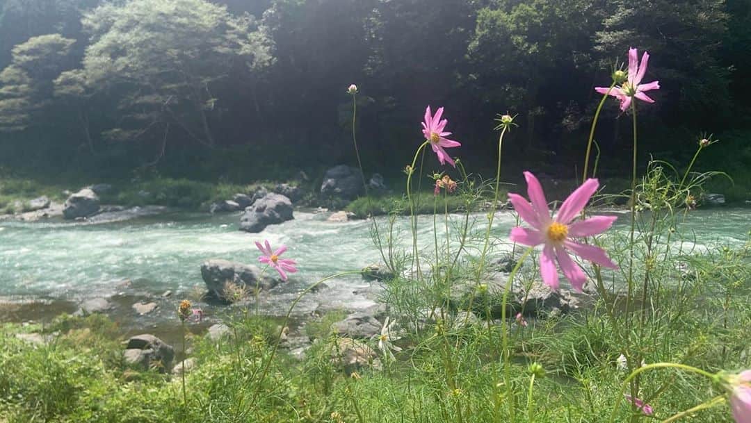 大和田美帆さんのインスタグラム写真 - (大和田美帆Instagram)「end of summer☀️ .  深く息を吸って ぼーっとして 水の音に癒されて 最高の１日でした^_^ 自然、ありがとう！ #ワガコとおでかけ」8月29日 20時03分 - miho_ohwada