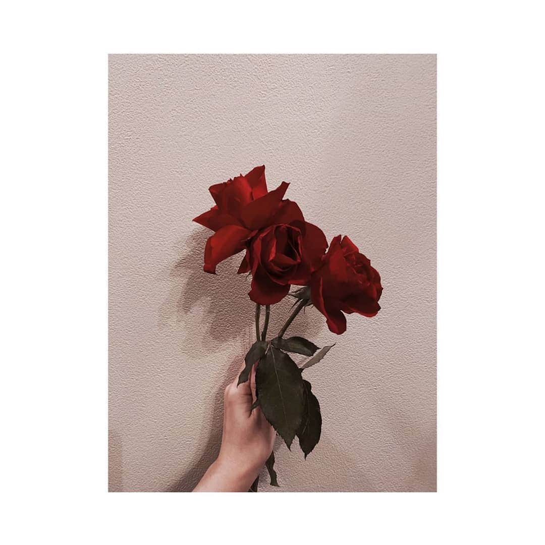 板野友美 ファンアカウントのインスタグラム：「3 stems of roses 🥀 This means I ♡ you We love you too💞」