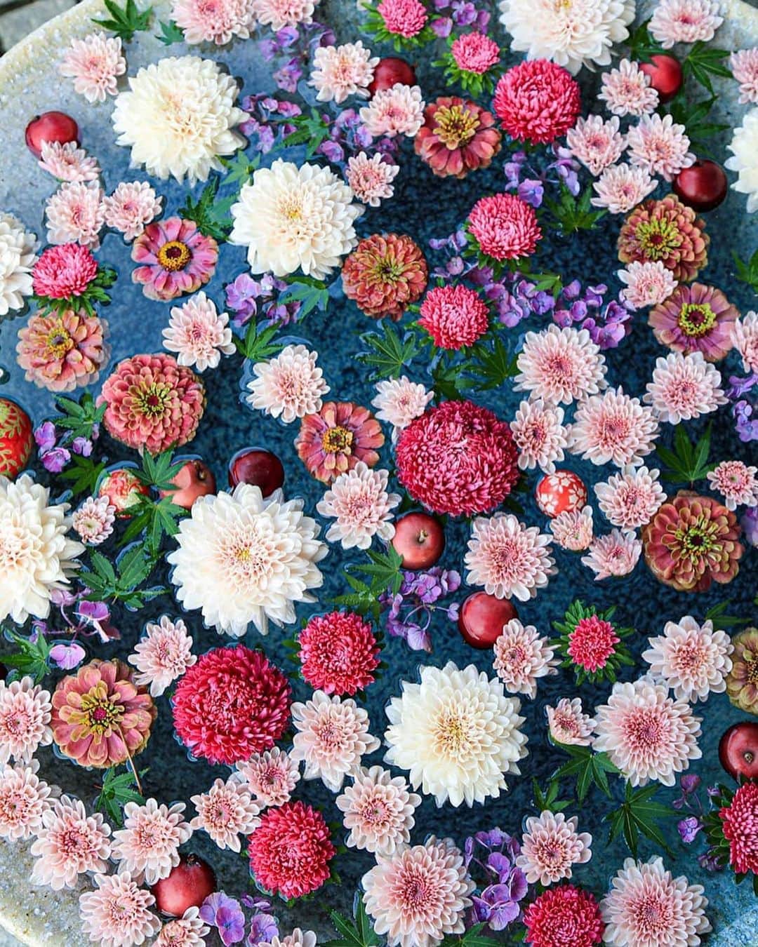 スマホの写真が売れちゃうアプリ「スナップマート」さんのインスタグラム写真 - (スマホの写真が売れちゃうアプリ「スナップマート」Instagram)「#Snapmart で見つけた素敵なお写真の紹介です📸﻿ ﻿ 🏞今日ご紹介するのは @miyakawagram さん。﻿ ﻿ 華やかな花手水の写真。とってもきれい！﻿ 花手水といえばあじさいが有名ですが、こんなお花の組み合わせもあるんですね☺️﻿ ﻿ ご本人からのコメントです。﻿ ﻿ ・・・・・・・﻿ ﻿ 撮影のこだわりは特に無いんですが、直感で色んな撮り方してます。はっきりした写真が好きなので、自然とそんな感じの方に行っていると思います。﻿ ﻿ カメラは、canonEOS5ＤmarkⅢです。﻿ ﻿ ・・・・・・・﻿ ﻿ 素敵なお写真、ありがとうございました！﻿ ﻿ #Snapmart のタグをつけてフィード投稿していただくと、公式でピックアップさせていただくかも！﻿ ぜひタグをつけて投稿してくださいね♪﻿ お待ちしています！﻿ ﻿ ﻿ ﻿ #snapmart #スナップマート #カスタマイズエブリデイ #テーブルフォト  #stayhome #写真好きな人と繋がりたい #写真で伝えたい私の世界 #写真を撮るのが好き #フォトグラファー #一眼レフが好き #ミラーレスが好き #ミラーレスのある生活 #一眼レフのある生活 #フォトグラファー #置き画くら部 #置き画 #ブツ撮り #物撮り #商品撮影 #インスタ映え #花手水」8月29日 20時37分 - snapmart.jp