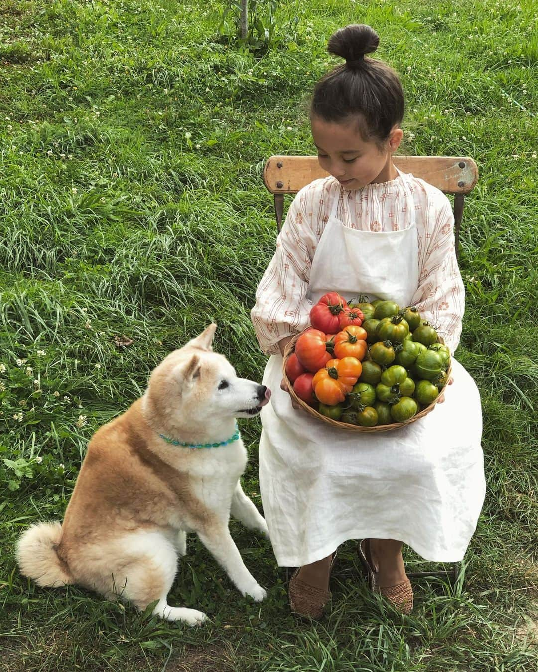 フィロとポンポンのインスタグラム