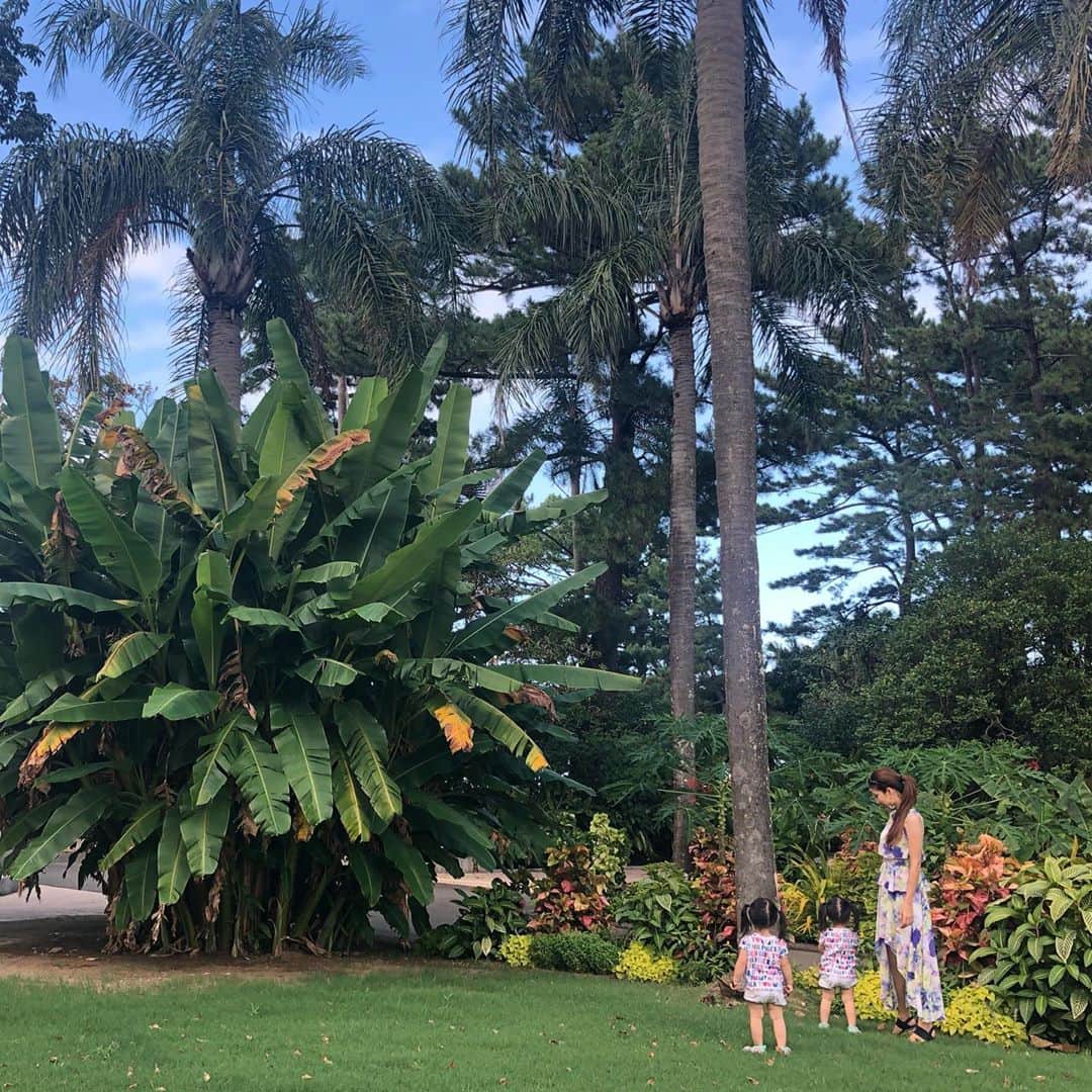 遠近由美子のインスタグラム：「やっぱり宮崎っていいところ。日本だけどHawaiiみたい🌴😊✨ .  豊かな自然と綺麗な空。緑。太陽✨　 .  双子さんは、鳥や蝶々を見つけては追いかけて、走り回ってます。ここにいたら走るの早くなるだろうな。 .  東京では見たことのないものがいっぱいあるから「まま、これ、なんだろ？」って、謎の何かを拾って来たり😂棒でツンツンしたりして楽しそうに過ごしてるよ。 .  #双子 #2歳半 #双子育児 #双子まま #双子と旅 #双子コーデ #miyazaki @tommyhilfiger #お仕事旅 #ワーケーション  . .  #2人のドタバタした走り方が好き🤣❤️笑」