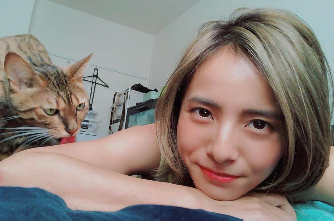 佐野千晃のインスタグラム：「めっちゃこたつに舐められてるwwwww﻿ ﻿ 朝は絶対にお布団にいるこたさんが可愛い😍﻿ ﻿ #cat #catstgram #catlovers #nyamnyam #nya #nyaaa #こたちゅくん #にゃー #にゃんこ #猫 #ベンガル #ベンガル猫 #猫好きと繋がりたい #猫のいる生活 #写真好きな人と繋がりたい #写真撮ってる人と繋がりたい」