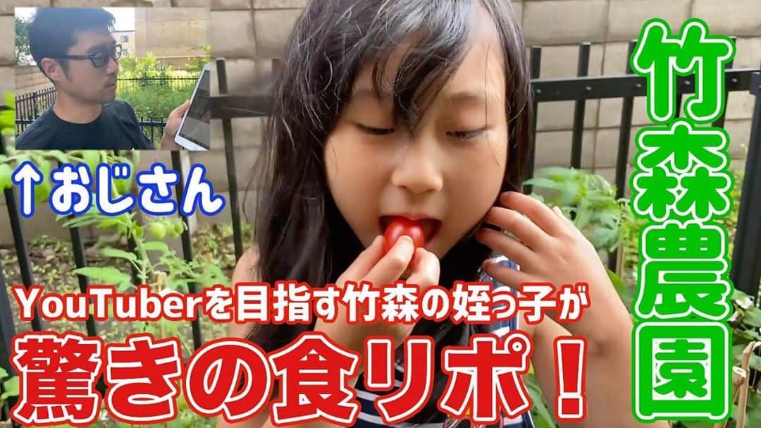 阿部浩貴さんのインスタグラム写真 - (阿部浩貴Instagram)「【アップダウンチャンネル】 毎週水曜土曜に新作動画を公開！  今回は前回動画の予告通り、竹森農園第3弾！  どんどん育っていく野菜たち。 歌の栄養もあります。 そして、なんと竹森の姪っ子が登場！？ YouTuberを目指す姪っ子が驚きの食リポを披露？？  最後には9月2日から始まる【桜の下で君と　リピート配信】の予告動画も！ プロフィールより是非みてください！」8月29日 21時23分 - updown_abe