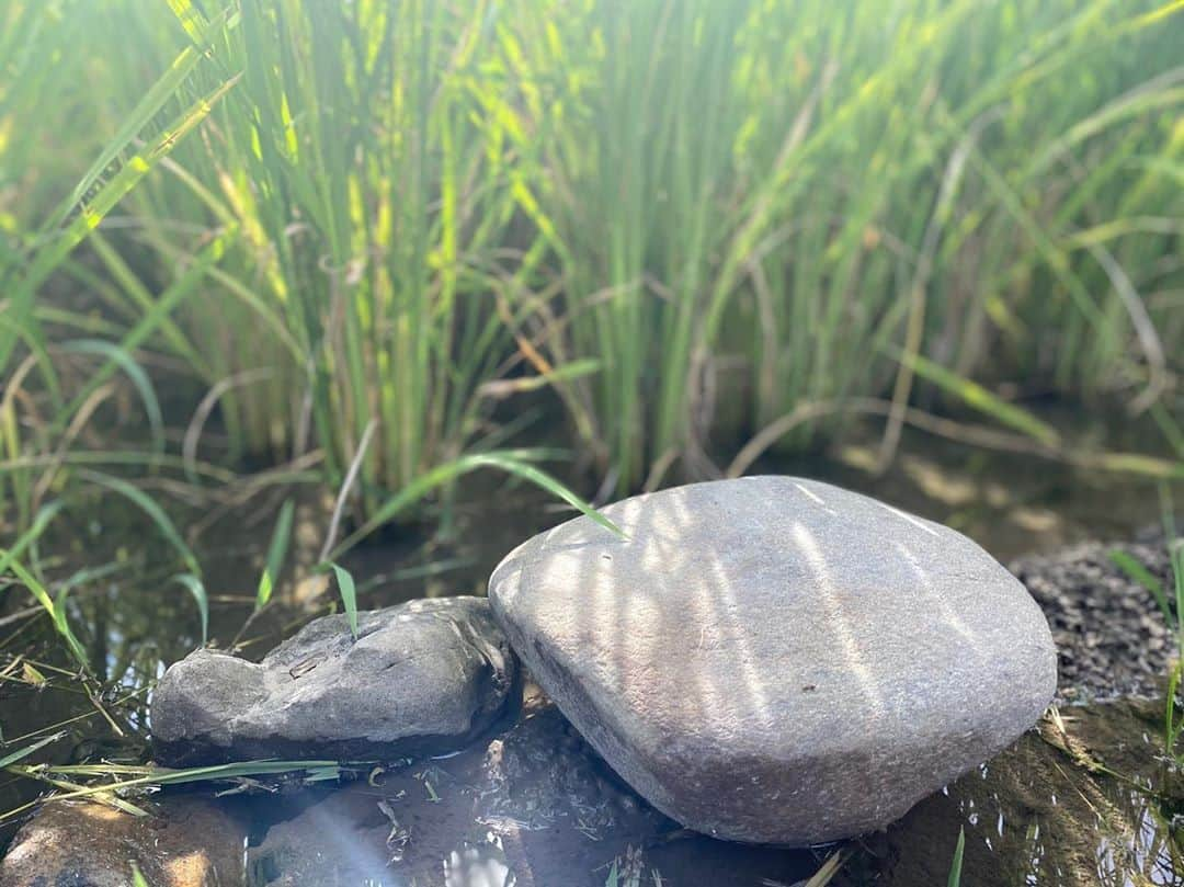 瀬戸利樹のインスタグラム