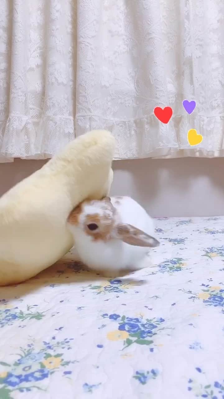 のインスタグラム：「ずっと遊んでる(笑)」