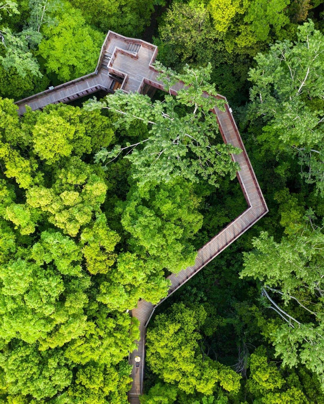 Osaka Bob（大阪観光局公式キャラクター）さんのインスタグラム写真 - (Osaka Bob（大阪観光局公式キャラクター）Instagram)「An aerial view of the aerial promenade, sorado. It's so green up here🌳  豊かな自然に囲まれた万博公園。広大な敷地には様々エリアがあって一日中楽しめる♪ ————————————————————— #maido #withOsakaBob #OSAKA #osakatrip #japan #nihon #OsakaJapan #大坂 #오사카 #大阪 #Оsака #Осака #โอซาก้า #大阪観光#万博公園 #expo70commemorativepark」8月29日 22時35分 - maido_osaka_bob