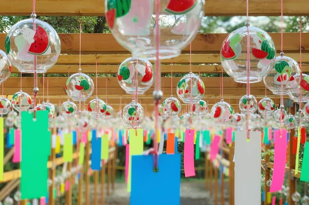 JAPANのインスタグラム：「#風鈴まつり」