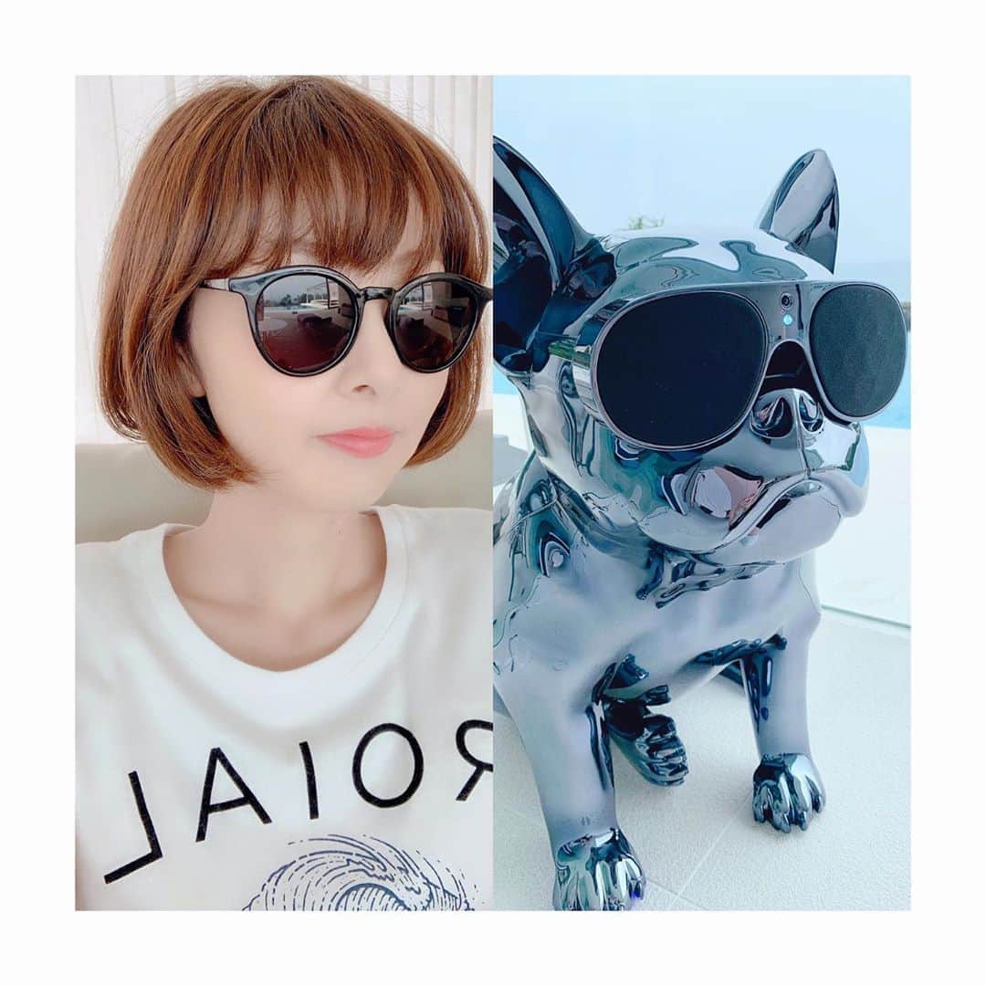 相沢礼子さんのインスタグラム写真 - (相沢礼子Instagram)「#2019 #夏の思い出  #宮古島 #dog  #sunglasses  #okinawa #okinawajapan #trip #japan #miyakojima #summer #love  #ありがとう #また行けますように」8月29日 23時08分 - reikoaizawa828