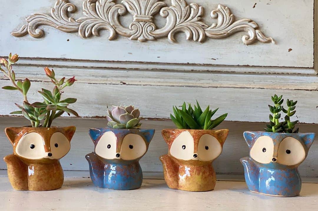 Rylaiさんのインスタグラム写真 - (RylaiInstagram)「Panda & Her Pals Adorable Fundraiser!!!  . Fox and Owl planters with tiny baby succulents are perfect for your fall decor while supporting our Panda & Pals Global Fox Rescue!  . Fundraiser will run until Sept 18 with local pick-up planned for first week in Oct!! We will set up 4 pick up times in North a County San Diego- come pick up your adorable planters and meet an Ambassador!  . If you are not local to San Diego or require shipping, please direct message for shipping costs before purchasing!!!  . Fundraiser being supported by @novacharle  . .  https://www.siberiancupcakes.com/merchandise/foxplanters . . #foxplanters #support #fundraiser #ppp #falldecor #fall #foxy #owls #succulants #support #foxesofig #planters #garden #bringoutsidein #fox #uniquegifts #givingback #sandiego #socal #addongift #supercute #foragoodcause #fundraising #interiordesign」8月29日 23時30分 - jabcecc