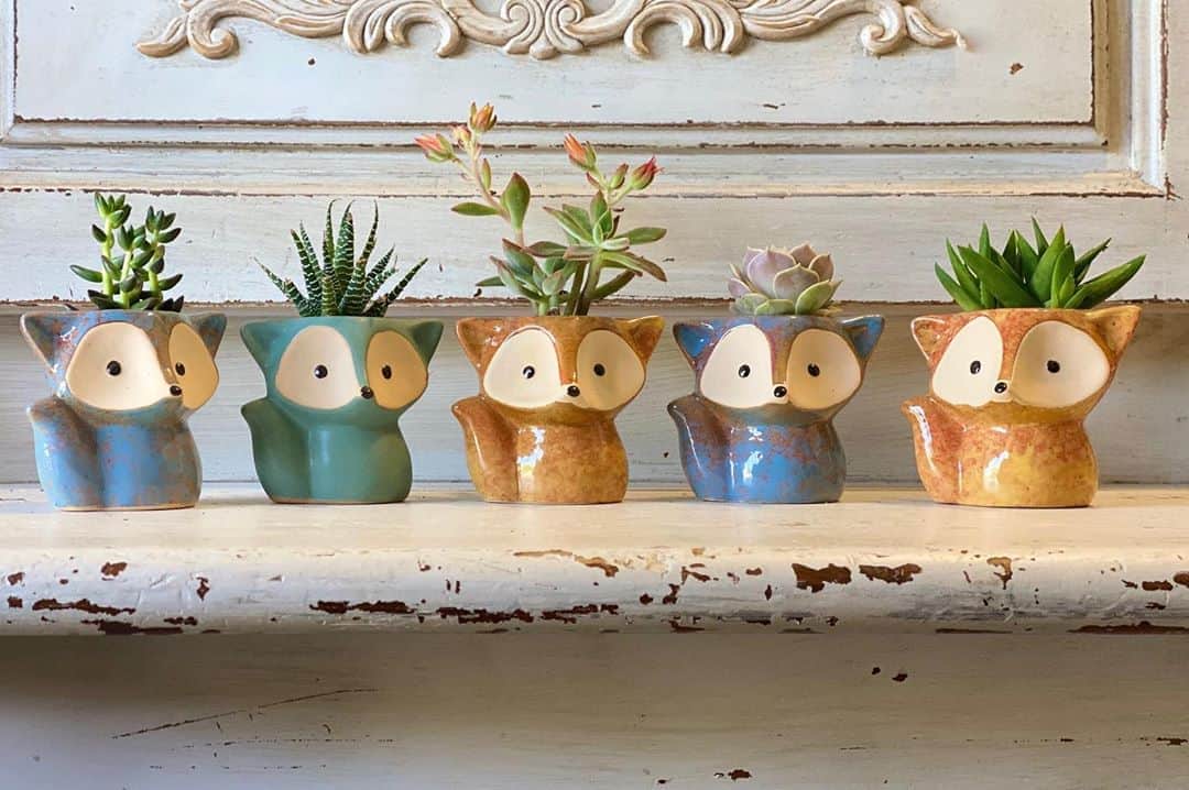 Rylaiさんのインスタグラム写真 - (RylaiInstagram)「Panda & Her Pals Adorable Fundraiser!!!  . Fox and Owl planters with tiny baby succulents are perfect for your fall decor while supporting our Panda & Pals Global Fox Rescue!  . Fundraiser will run until Sept 18 with local pick-up planned for first week in Oct!! We will set up 4 pick up times in North a County San Diego- come pick up your adorable planters and meet an Ambassador!  . If you are not local to San Diego or require shipping, please direct message for shipping costs before purchasing!!!  . Fundraiser being supported by @novacharle  . .  https://www.siberiancupcakes.com/merchandise/foxplanters . . #foxplanters #support #fundraiser #ppp #falldecor #fall #foxy #owls #succulants #support #foxesofig #planters #garden #bringoutsidein #fox #uniquegifts #givingback #sandiego #socal #addongift #supercute #foragoodcause #fundraising #interiordesign」8月29日 23時30分 - jabcecc