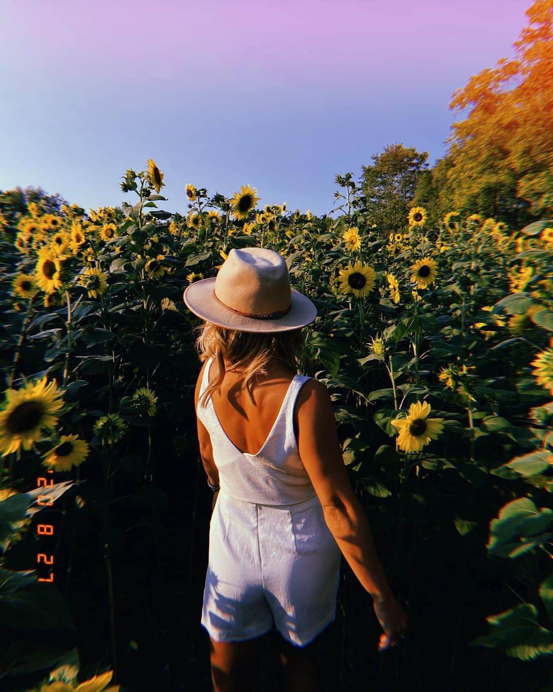 カーステン・ムーア＝タワーズさんのインスタグラム写真 - (カーステン・ムーア＝タワーズInstagram)「grace in your heart; flowers in your hair 🌻 • • #howellsfarm #sunflower #sunflowerfield #summer」8月30日 0時04分 - kirsten_mt