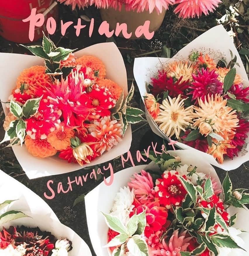 Portlandさんのインスタグラム写真 - (PortlandInstagram)「It’s a great day to go out & support a local business in your community! The @portlandsaturdaymarket is one place to start. They will be open Saturdays from 10 AM- 5PM on the Waterfront and Ankeny Plaza!  - 📷:@everydaystephhh  #Portland #PortlandNW #PDX #supportsmallbusiness #shopsmallbusiness」8月30日 1時08分 - portland