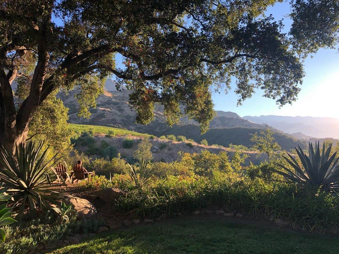 アナベル・ウォーリスのインスタグラム：「Escape   #nofilter」