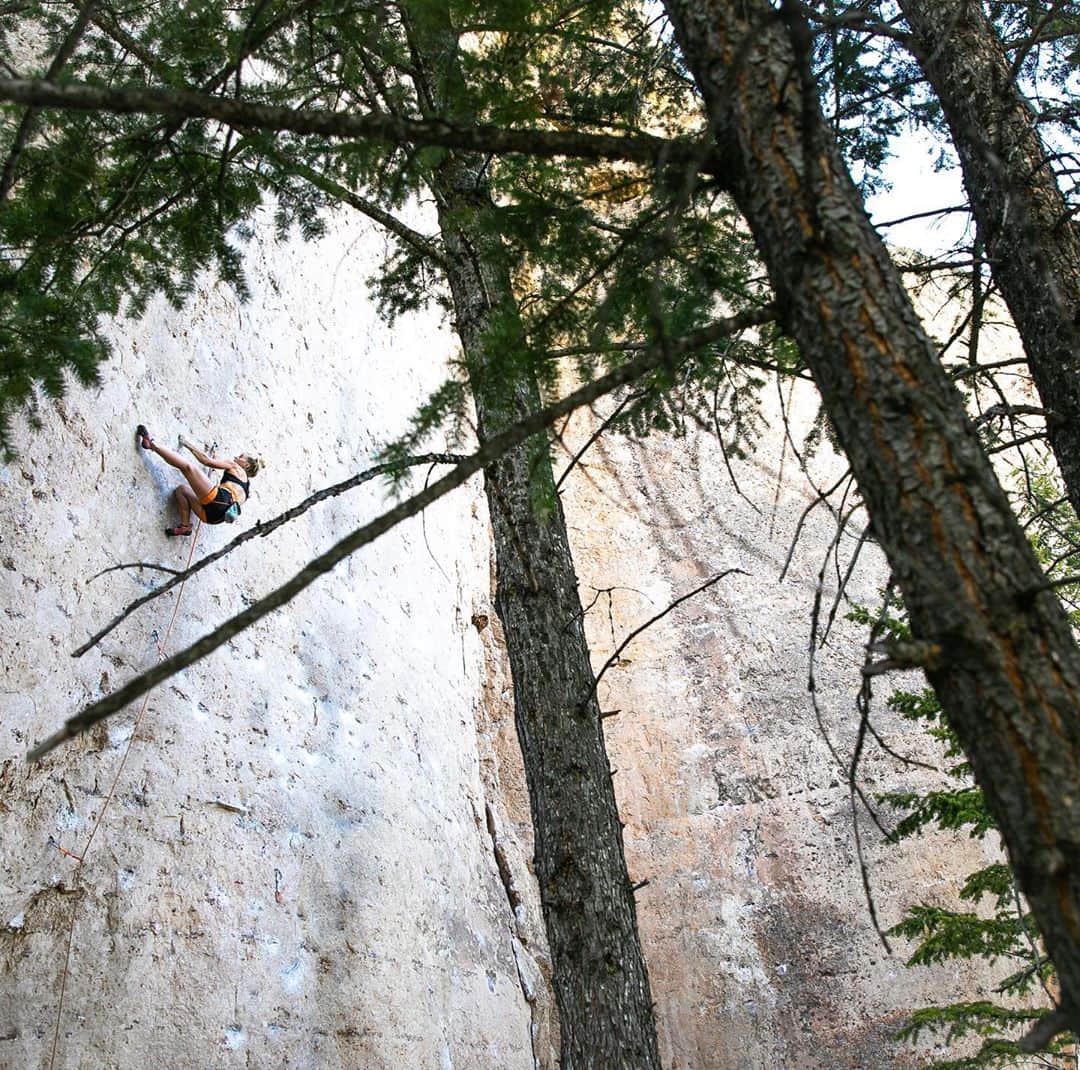 エミリー・ハリントンのインスタグラム：「When in doubt, the high foot provides. ‘Hellion’ (13c/8a+) as seen on Real World Ten Sleep 2020 (s5ep2) // 🦙🦙 // 📸 @katydberg // @thenorthface_climb // @lasportivana // @petzl_official」
