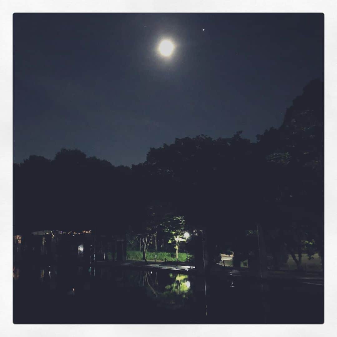 帝子さんのインスタグラム写真 - (帝子Instagram)「絵本みたいでかわいい」8月30日 2時09分 - soraimuteiko
