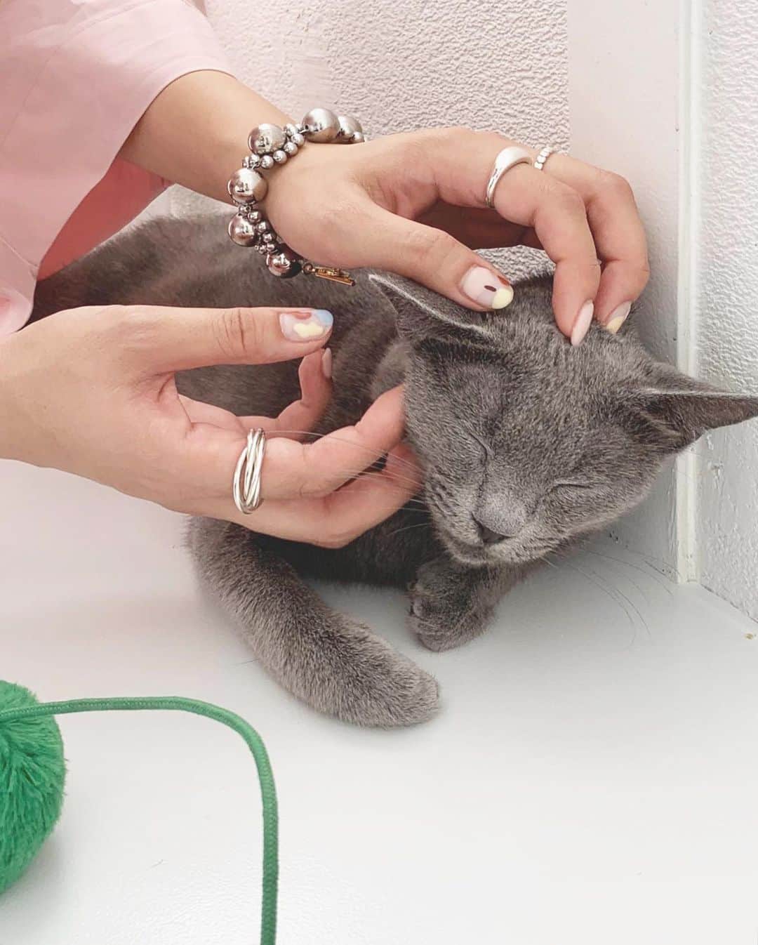mina hinokuchiのインスタグラム：「. 癒された1時間☀︎ のびのびして人懐っこい猫ちゃん達 素敵な大切にされてるんだろうなと感じました🐱 すでに譲渡が決まっている猫ちゃんも◎ . . #保護猫　#保護猫カフェ #猫　#cat #necoma #学芸大学」
