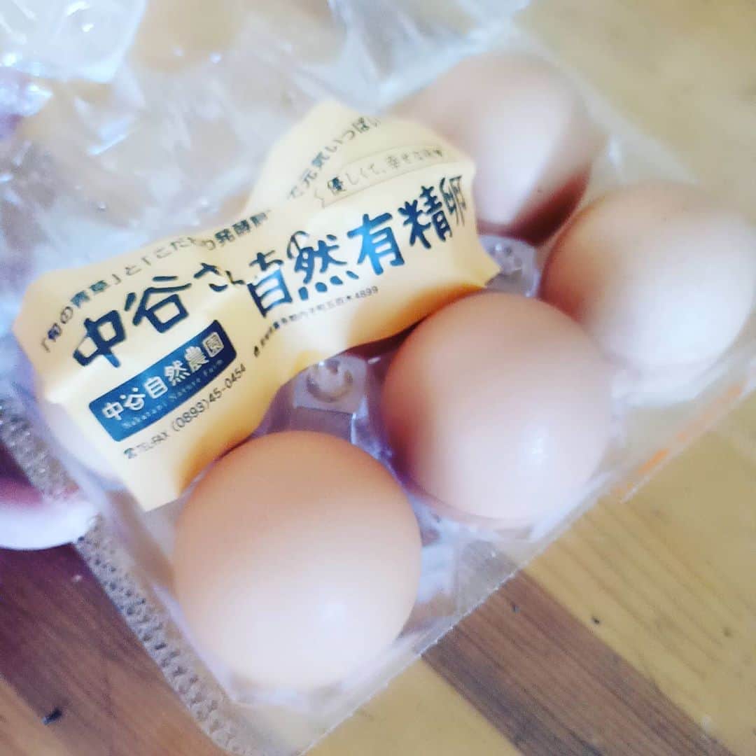 松本隆博のインスタグラム：「。 美味しい卵頂きました (^○^) 内子の朝とれ卵、中谷自然農園 の卵。めちゃくちゃ卵の味！ 当たり前か(˙◁˙)、でもね 割った時、黄身が黄色じゃなく レモン色で小粒なんだよ。 ん？って思ったけれど、これ。  良そう超える美味さだねー。 殻はとても硬いからきっとエサ にかなりの特徴があるとみたねー。 いやー、ご馳走様でした、2杯 いきましたー(^○^)。 昨日の日記館Live来てくれて ありがとう(^○^)  またやりーす♪来てねー  ～人生遊歩道～」