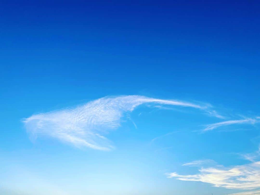 橋本麗香のインスタグラム：「🌏🕊✨✨✨💖🪐  自由は誰にでも与えられた 平等な権利  心を開いて何を選択するか ワクワク決めるのみ💓✨✨  #自由とわがままを混同しない事がポイント😉🧡」
