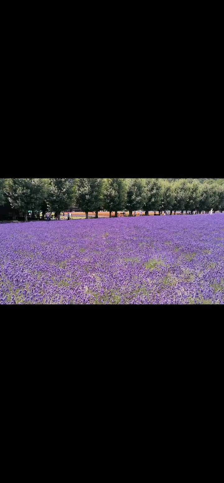 中園健士のインスタグラム